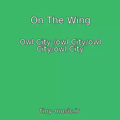 کاور آهنگ On The Wing از Owl City /owl City/owl City/owl City