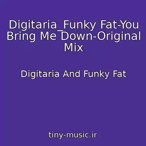 کاور آهنگ Digitaria_Funky Fat-You Bring Me Down-Original Mix از Digitaria And Funky Fat