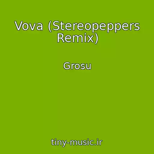 کاور آهنگ Vova (Stereopeppers Remix) از Grosu