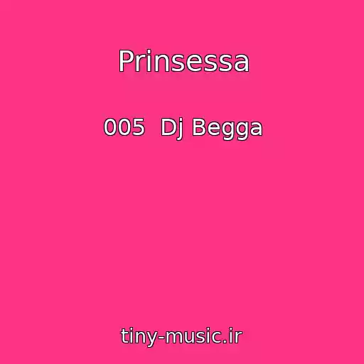 کاور آهنگ Prinsessa از 005  Dj Begga