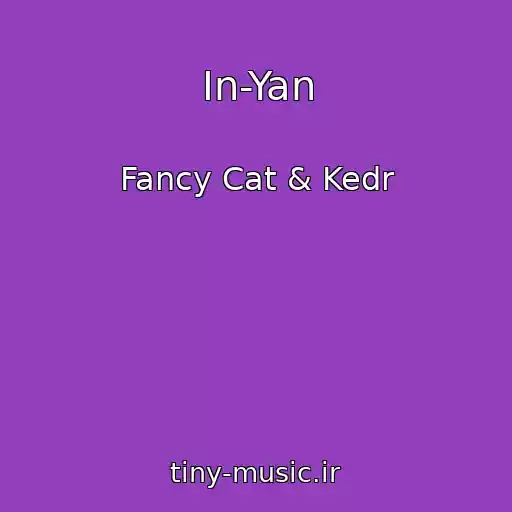 کاور آهنگ In-Yan از Fancy Cat & Kedr
