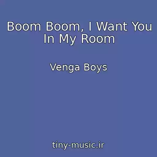 کاور آهنگ Boom Boom, I Want You In My Room از Venga Boys