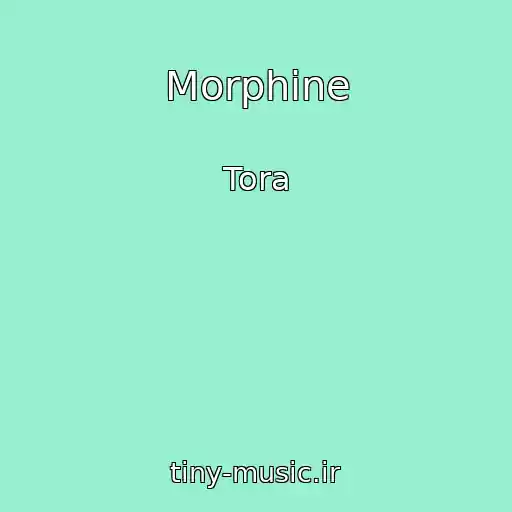 کاور آهنگ Morphine از Tora