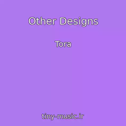 کاور آهنگ Other Designs از Tora