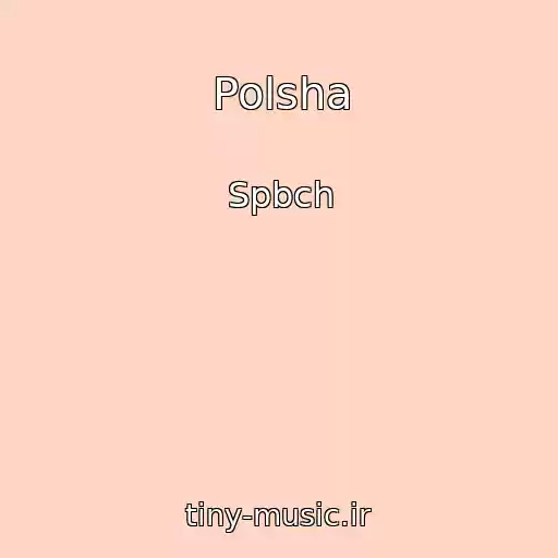 کاور آهنگ Polsha از Spbch