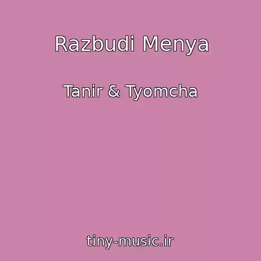 کاور آهنگ Razbudi Menya از Tanir & Tyomcha