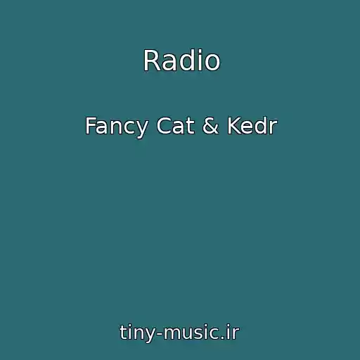 کاور آهنگ Radio از Fancy Cat & Kedr