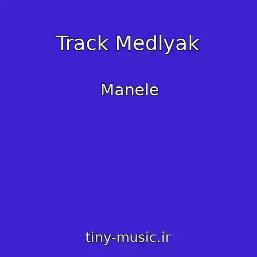 کاور آهنگ Track Medlyak از Manele