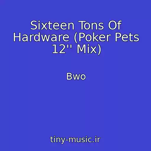 کاور آهنگ Sixteen Tons Of Hardware (Poker Pets 12'' Mix) از Bwo