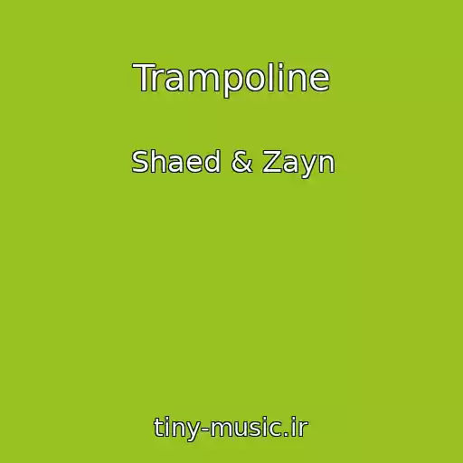 کاور آهنگ Trampoline از Shaed & Zayn