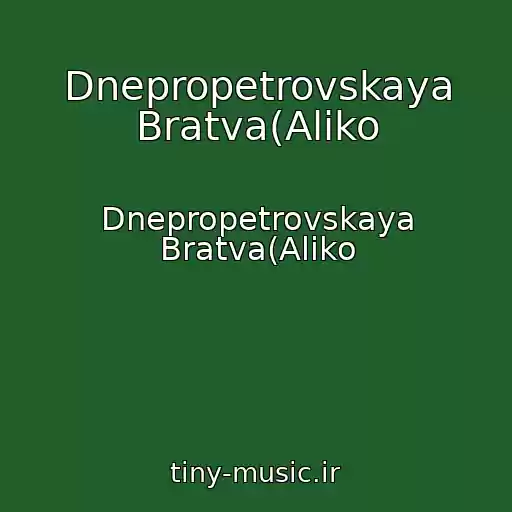 کاور آهنگ Dnepropetrovskaya Bratva(Aliko از Dnepropetrovskaya Bratva(Aliko