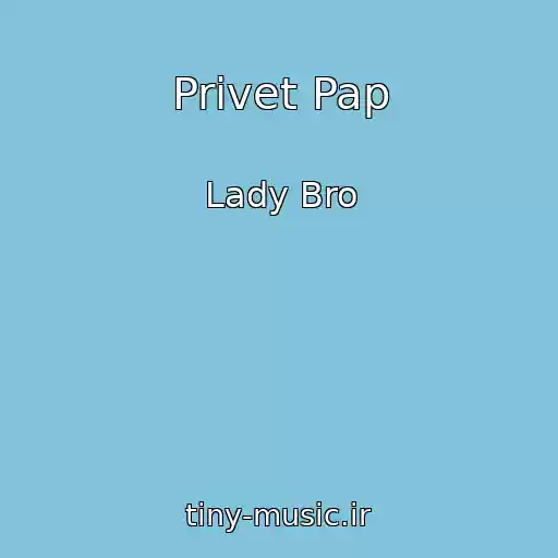 کاور آهنگ Privet Pap از Lady Bro