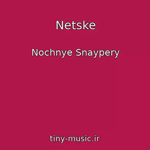 کاور آهنگ Netske از Nochnye Snaypery