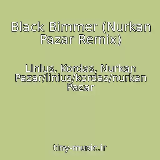کاور آهنگ Black Bimmer (Nurkan Pazar Remix) از Linius, Kordas, Nurkan Pazar/linius/kordas/nurkan Pazar