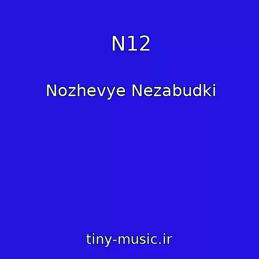 کاور آهنگ N12 از Nozhevye Nezabudki