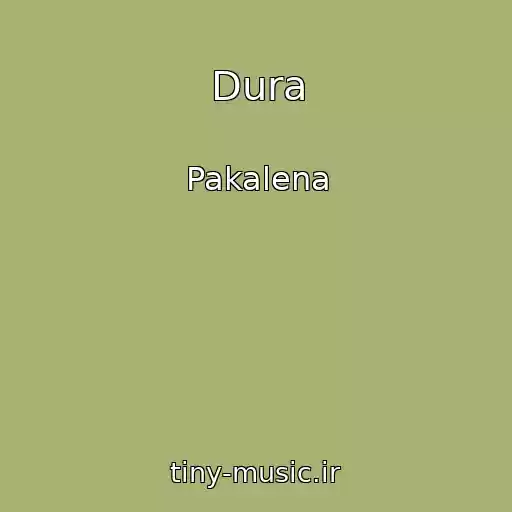 کاور آهنگ Dura از Pakalena