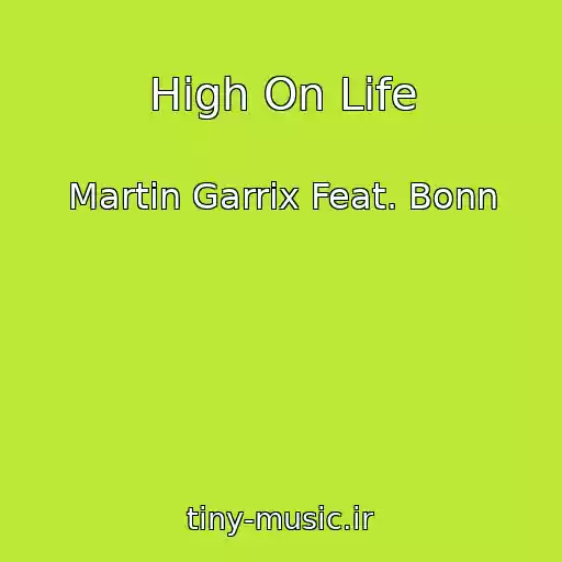 کاور آهنگ High On Life از Martin Garrix Feat. Bonn