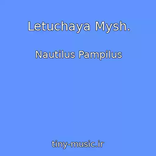 کاور آهنگ Letuchaya Mysh. از Nautilus Pampilus