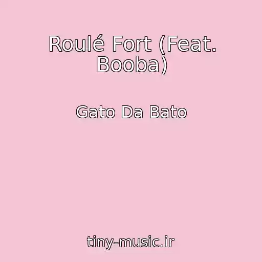 کاور آهنگ Roulé Fort (Feat. Booba) از Gato Da Bato