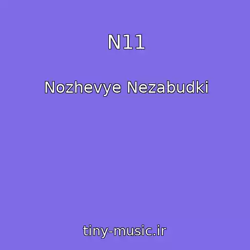 کاور آهنگ N11 از Nozhevye Nezabudki