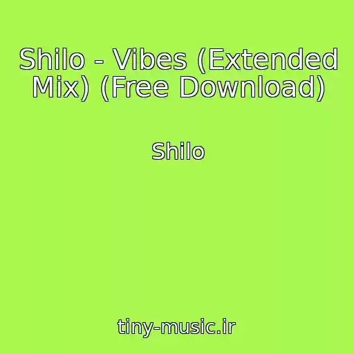 کاور آهنگ Shilo - Vibes (Extended Mix) (Free Download) از Shilo
