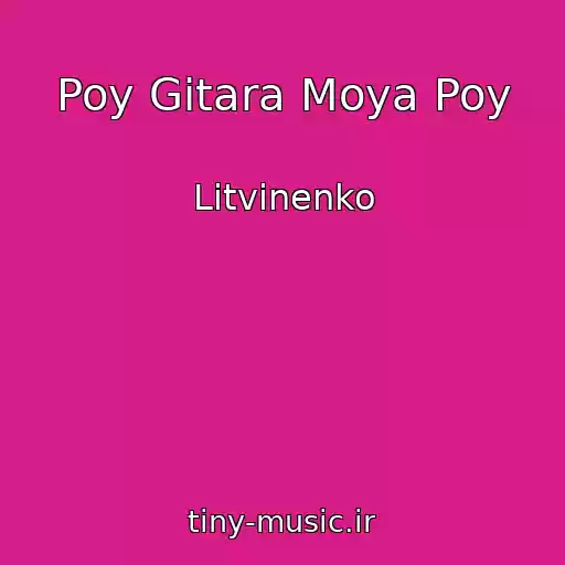 کاور آهنگ Poy Gitara Moya Poy از Litvinenko