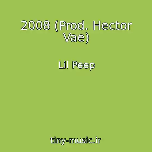 کاور آهنگ 2008 (Prod. Hector Vae) از Lil Peep