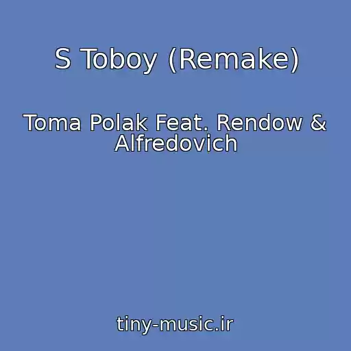 کاور آهنگ S Toboy (Remake) از Toma Polak Feat. Rendow & Alfredovich