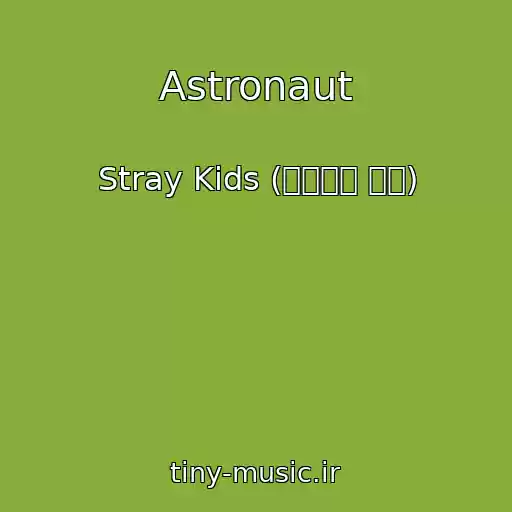 کاور آهنگ Astronaut از Stray Kids (스트레이 키즈)