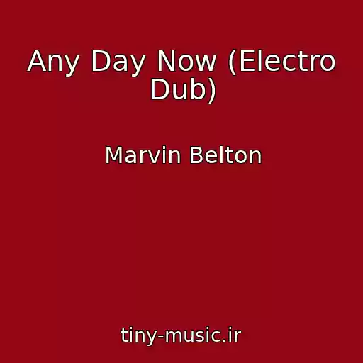 کاور آهنگ Any Day Now (Electro Dub) از Marvin Belton