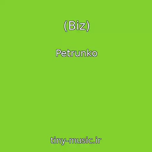کاور آهنگ (Biz) از Petrunko