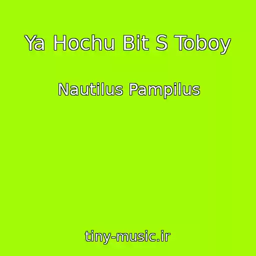 کاور آهنگ Ya Hochu Bit S Toboy از Nautilus Pampilus