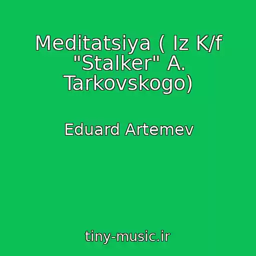 کاور آهنگ Meditatsiya ( Iz K/f "Stalker" A. Tarkovskogo) از Eduard Artemev