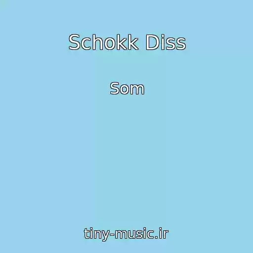 کاور آهنگ Schokk Diss از Som