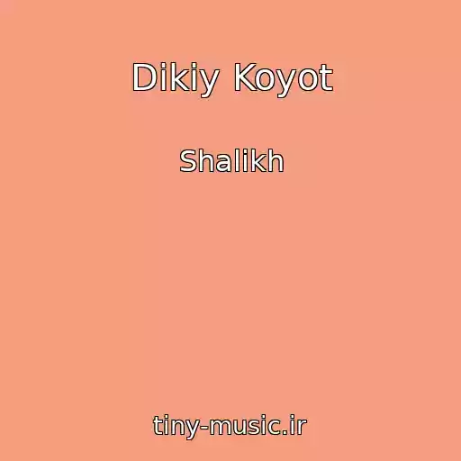 کاور آهنگ Dikiy Koyot از Shalikh