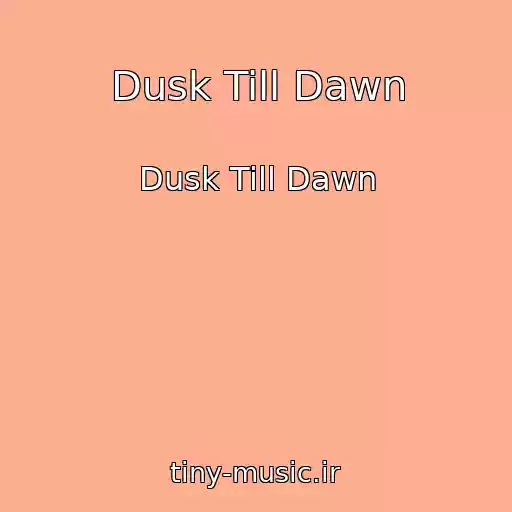 کاور آهنگ Dusk Till Dawn از Dusk Till Dawn
