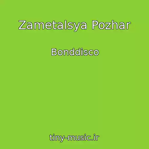 کاور آهنگ Zametalsya Pozhar از Bonddisco