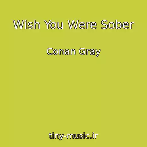 کاور آهنگ Wish You Were Sober از Conan Gray