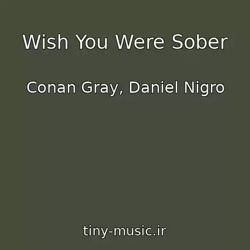 کاور آهنگ Wish You Were Sober از Conan Gray, Daniel Nigro