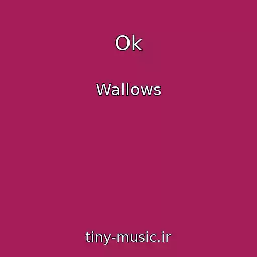 کاور آهنگ Ok از Wallows
