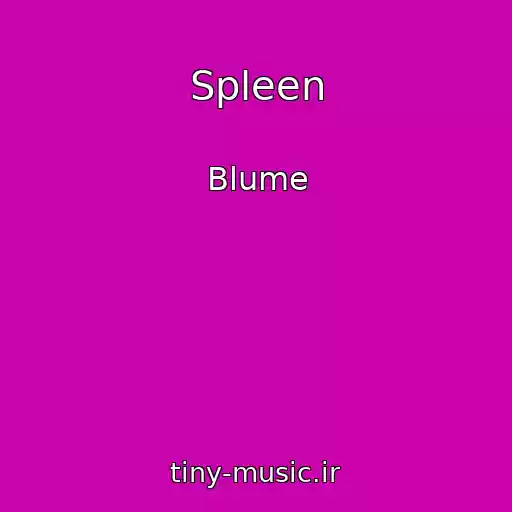 کاور آهنگ Spleen از Blume