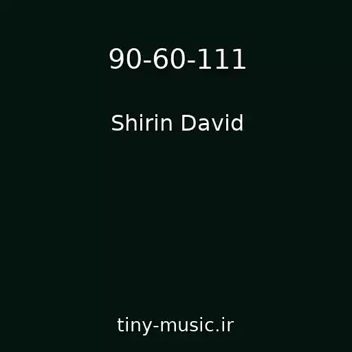 کاور آهنگ 90-60-111 از Shirin David
