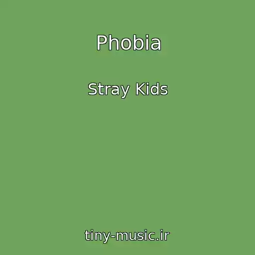 کاور آهنگ Phobia از Stray Kids