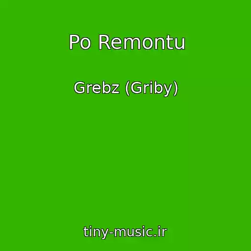 کاور آهنگ Po Remontu از Grebz (Griby)