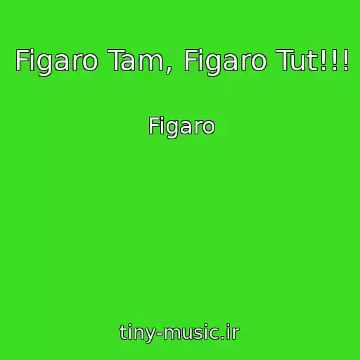 کاور آهنگ Figaro Tam, Figaro Tut!!! از Figaro