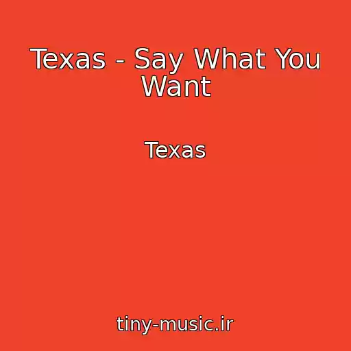 کاور آهنگ Texas - Say What You Want از Texas