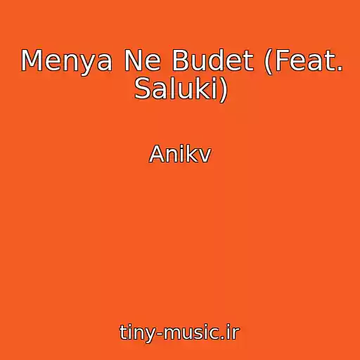 کاور آهنگ Menya Ne Budet (Feat. Saluki) از Anikv