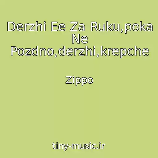 کاور آهنگ Derzhi Ee Za Ruku,poka Ne Pozdno,derzhi,krepche از Zippo
