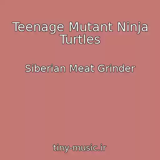 کاور آهنگ Teenage Mutant Ninja Turtles از Siberian Meat Grinder