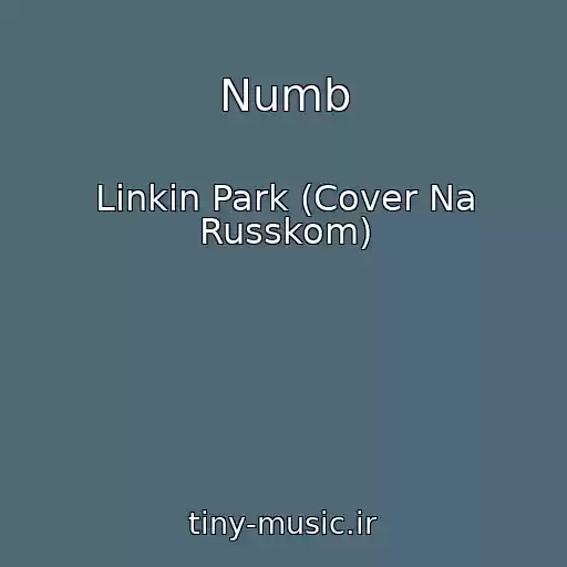 کاور آهنگ Numb از Linkin Park (Cover Na Russkom)